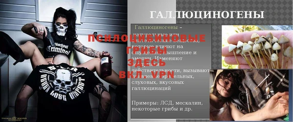 spice Балахна