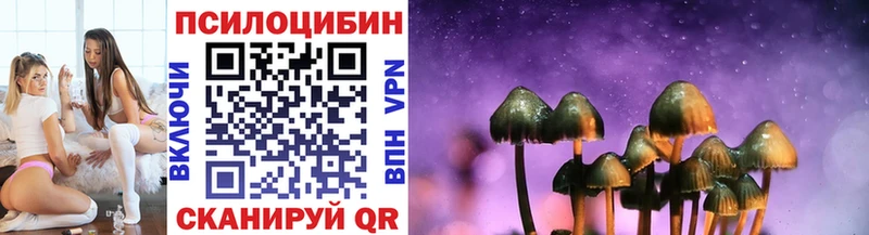 Псилоцибиновые грибы Psilocybe  сколько стоит  Зарайск 